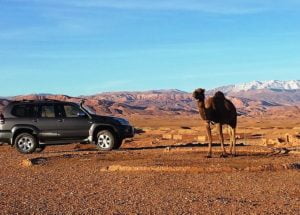 merzouga desert