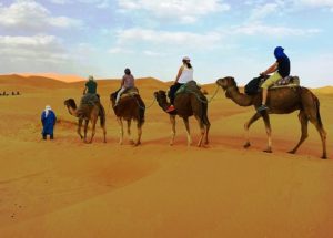 ride a camels in desert
