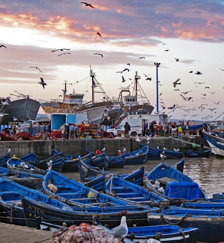 excursion essaouira day trip 7 4