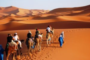 camel trekking in desert