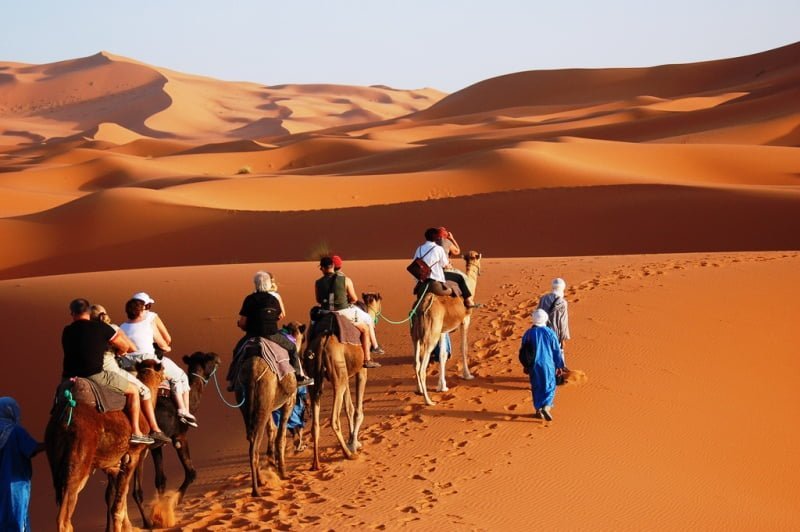 camel trekking merzouga 10