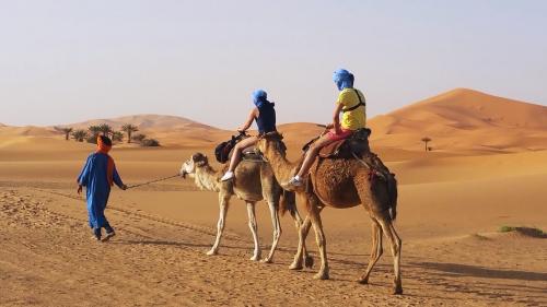 camel trekking deserto marocco