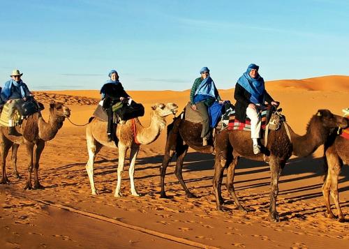 excursion dune camel