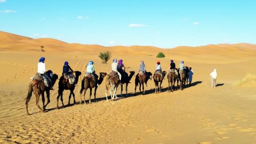 camel trekking deserto marocco