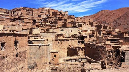 camel trekking deserto marocco