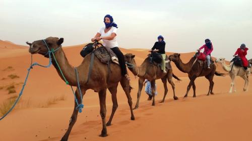 camel trekking deserto marocco