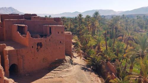 camel trekking deserto marocco