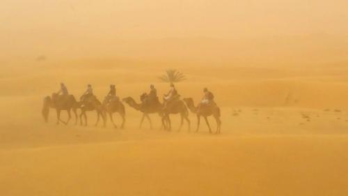 tour -nel deserto marocco