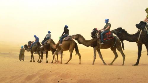camel trekking deserto marocco